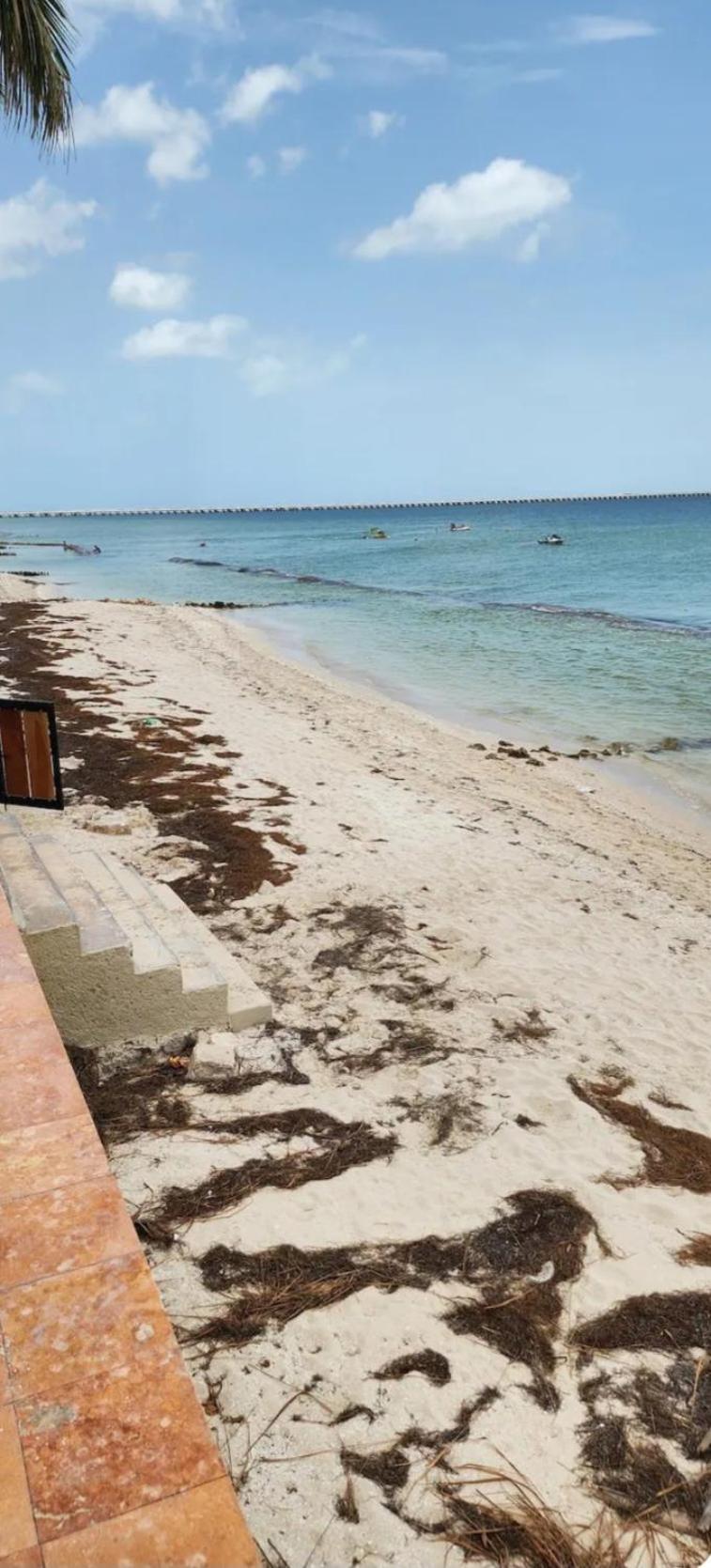 Condominios Orca Progreso  Exterior photo